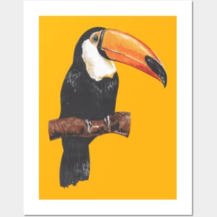 Toucan Posters and Art